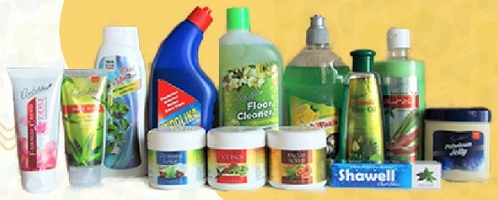 PERSONAL CARE AND HOUSEHOLD PRODUCT COMBO